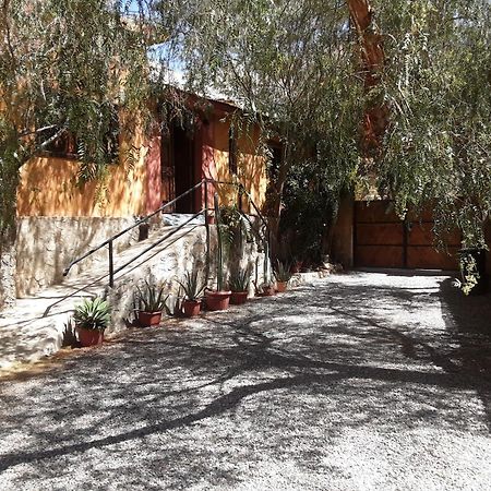 Casa Gabriela, Monte Grande ,Valle De Elqui Bed & Breakfast Exterior photo