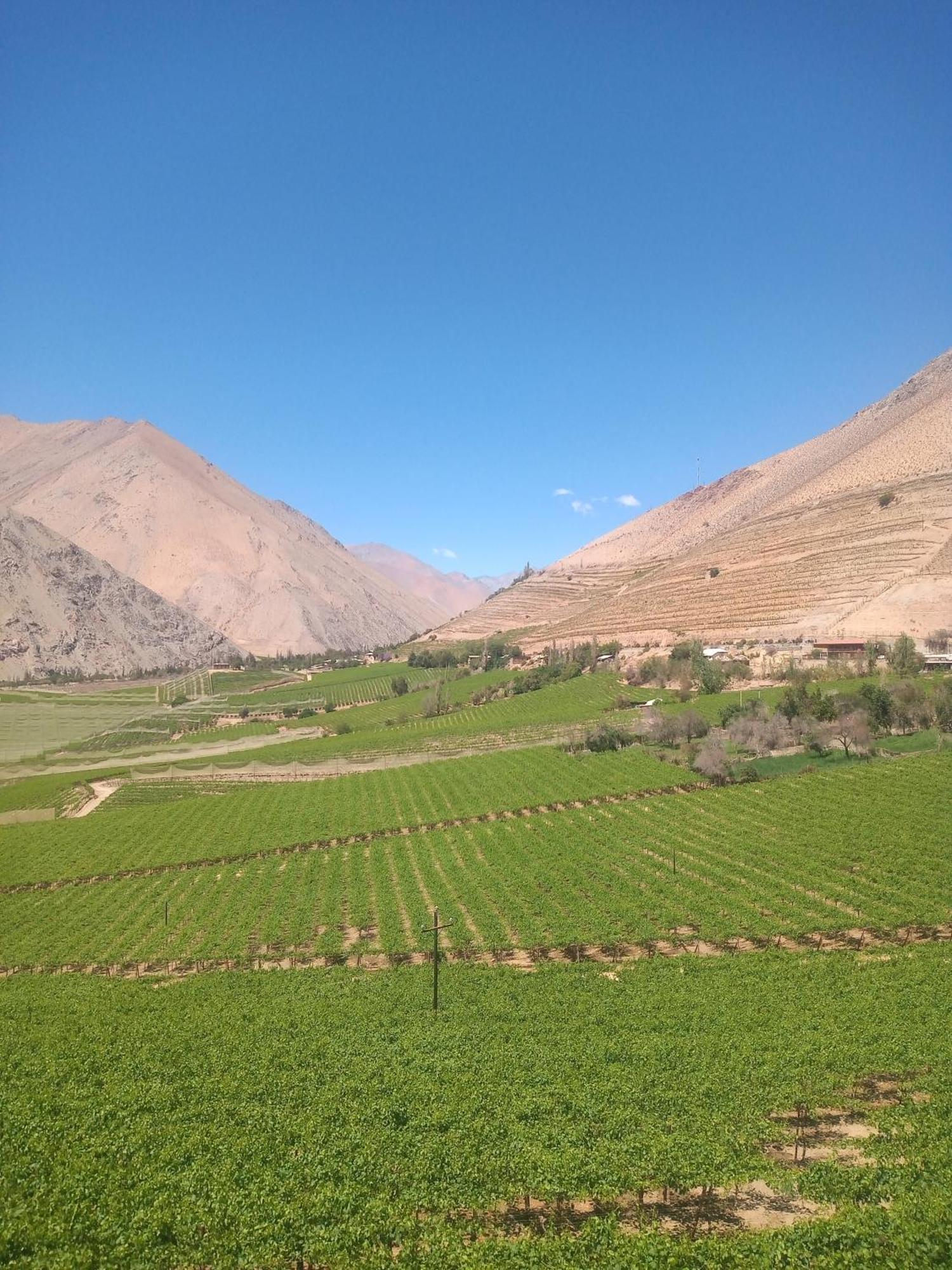 Casa Gabriela, Monte Grande ,Valle De Elqui Bed & Breakfast Exterior photo